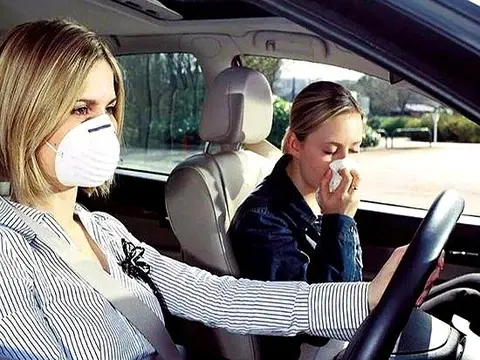 新车甲醛真的无处不在?教你3招轻松除甲醛!