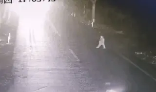 【秋冬事故预防⑫】缓、亮、响、稳、快！“五字诀”安全“冲破”浓雾围堵