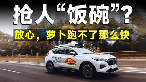 从“萝卜”之困到“特斯拉”之问：无人驾驶在中国市场“双重奏”